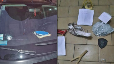 PuertoGeneralSanMartin.com - Noticias de Puerto General San Martín