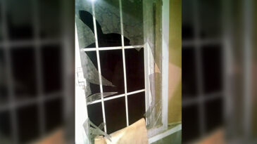 PuertoGeneralSanMartin.com - Noticias de Puerto General San Martín