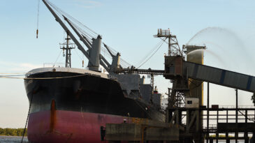 Más gremios cesan sus actividades y paralizan los puertos de la región