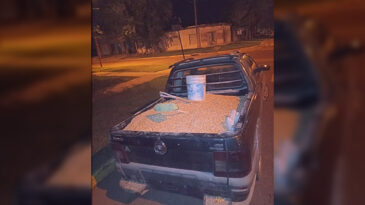 Gendarme detenido en Puerto General San Martín por robo de cereal