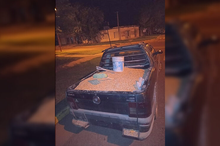 Gendarme detenido en Puerto General San Martín por robo de cereal