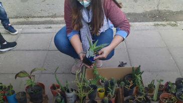 El Ecoclub PGSM invita a canjear residuos limpios, secos y separados por un plantín