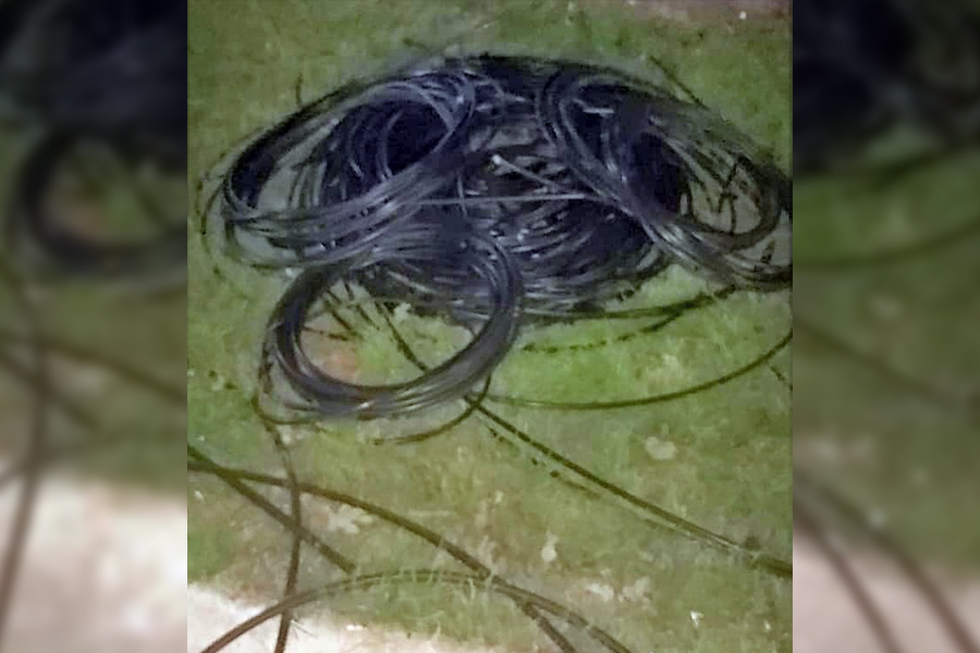 Lo encontró la policía robando 700 metros de cables y el fiscal lo dejó libre