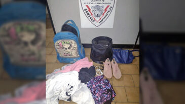 El ilícito se produjo en horas de la madrugada en la zona oeste de la ciudad. La policía recuperó los elementos sustraídos y detuvo a la agresora.