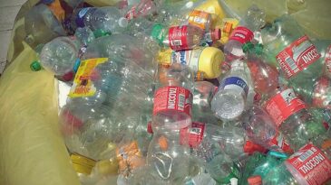 Canjeá tus residuos por un plantín y colaborá con el cuidado del medio ambiente