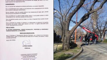 Por gestiones del concejal Mandón, se retiraron árboles que rompían las veredas