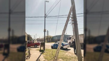 La policía de Puerto General San Martín logró la aprehensión de un masculino mientras intentaba sustraer cables telefónicos de la empresa TELECOM en Barrio Bella Vista. El hecho sucedió en el día de ayer en inmediaciones de calle Presidente Perón y Belgrano, donde los oficiales observaron en su recorrida a un masculino trepado sobre una escalera de 3 metros de largo, de color gris metalizada, la cual se encontraba apoyada en un poste de alumbrado público. Los oficiales rápidamente aprehendieron al sujeto identificado como M.F D de 18 años de edad, domiciliado en Puerto General San Martín. El aprehendido y su escalera fueron trasladados a la comisaría para las actuaciones legales de rigor.