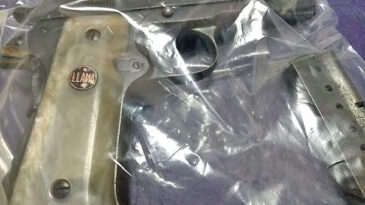 Golpeó a su ex y cuando lo revisó la policía, hallaron dos armas de fuego