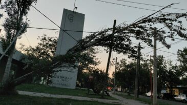 El municipio movilizado ante los daños provocados por el temporal que azotó a la ciudad