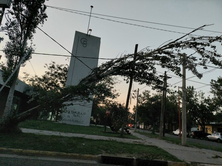 El municipio movilizado ante los daños provocados por el temporal que azotó a la ciudad