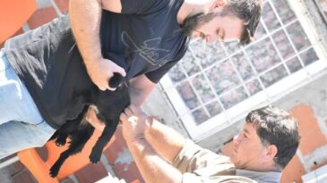 Continúa en la ciudad la campaña de vacunación antirrábica para perros y gatos