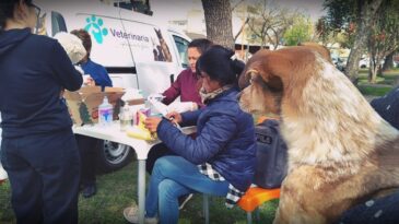 Continúa en los barrios la campaña de vacunación antirrábica y antiparasitaria para perros y gatos
