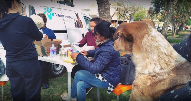 Continúa en los barrios la campaña de vacunación antirrábica y antiparasitaria para perros y gatos