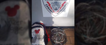La policía atrapó a dos jóvenes mientras robaban cables arriba de unos techos