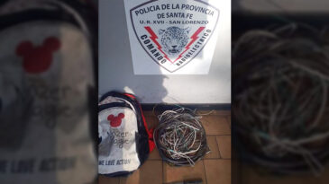 La policía atrapó a dos jóvenes mientras robaban cables arriba de unos techos