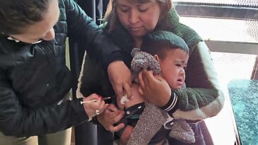 Continúa la campaña de vacunación casa por casa contra sarampión, rubéola, paperas y poliomielitis