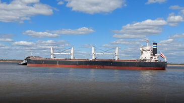 Un informe reveló detalles interesantes de los buques que llegan a nuestros puertos