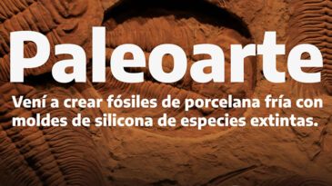 Paleoarte: una novedosa propuesta para todas las edades durante el mes de febrero