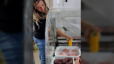 Inspecciones en toda la ciudad para evitar intoxicaciones por carnes o achuras en mal estado