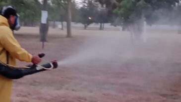 Se confirmó un caso de dengue en la ciudad y fumigarán por todos los barrios