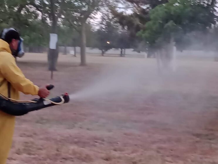 Se confirmó un caso de dengue en la ciudad y fumigarán por todos los barrios