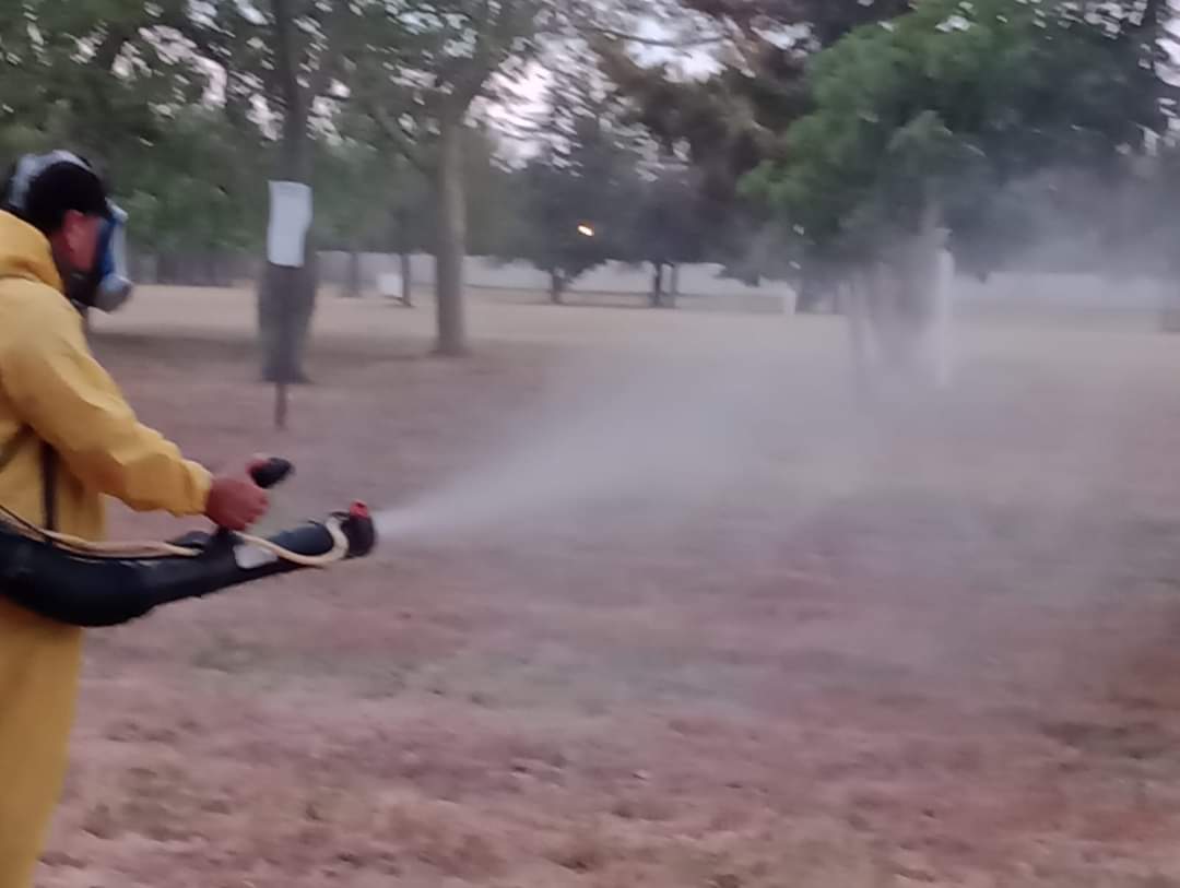 Se confirmó un caso de dengue en la ciudad y fumigarán por todos los barrios