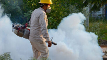 Invasión de mosquitos: el cronograma de fumigación en Puerto General San Martín