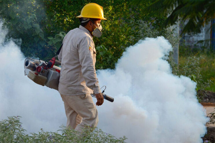 Invasión de mosquitos: el cronograma de fumigación en Puerto General San Martín