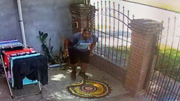 Inseguridad: delincuente quedó filmado robando un par de zapatillas de mujer