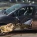 Transportaba cereal robado, destrozó un vehículo y encima intentó darse a la fuga